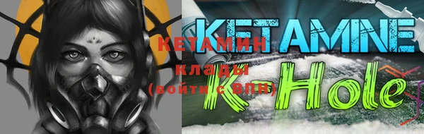 стаф Дмитриев