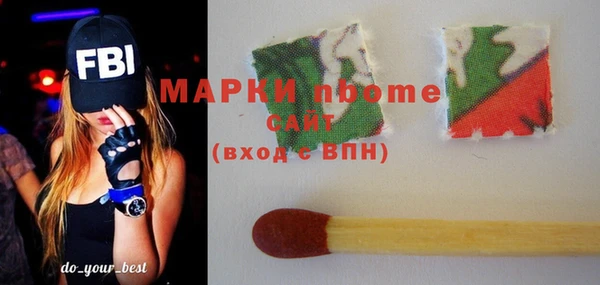 стаф Дмитриев