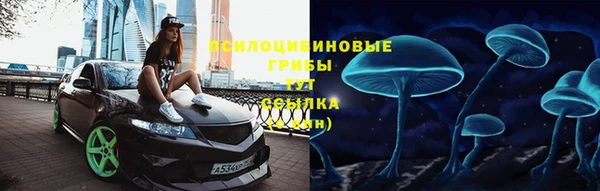 стаф Дмитриев