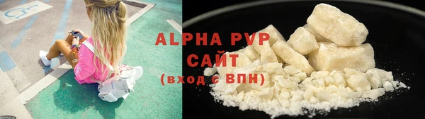 стаф Дмитриев