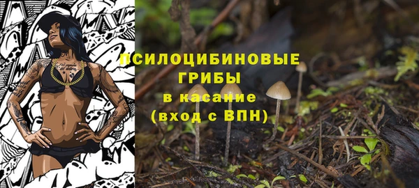 стаф Дмитриев