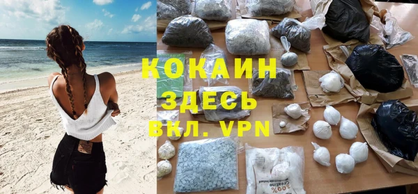 стаф Дмитриев