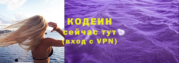 стаф Дмитриев