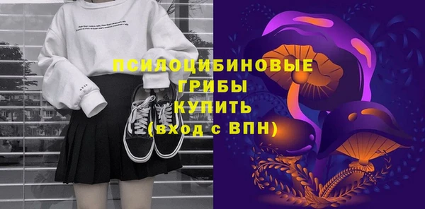 стаф Дмитриев