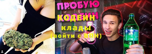 стаф Дмитриев