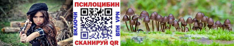 Псилоцибиновые грибы Magic Shrooms  МЕГА ССЫЛКА  Дербент 